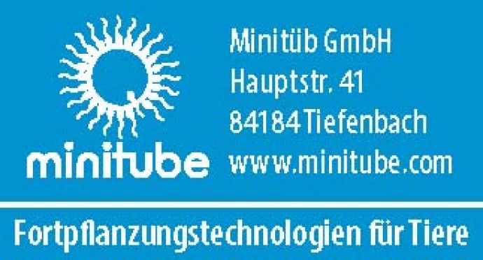 Entenrennen Sponsoren