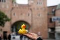 dsc05541.jpg