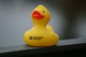 dsc05544.jpg