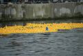 dsc05569.jpg