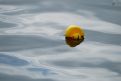 dsc05588.jpg