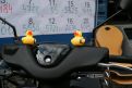 dsc05648.jpg